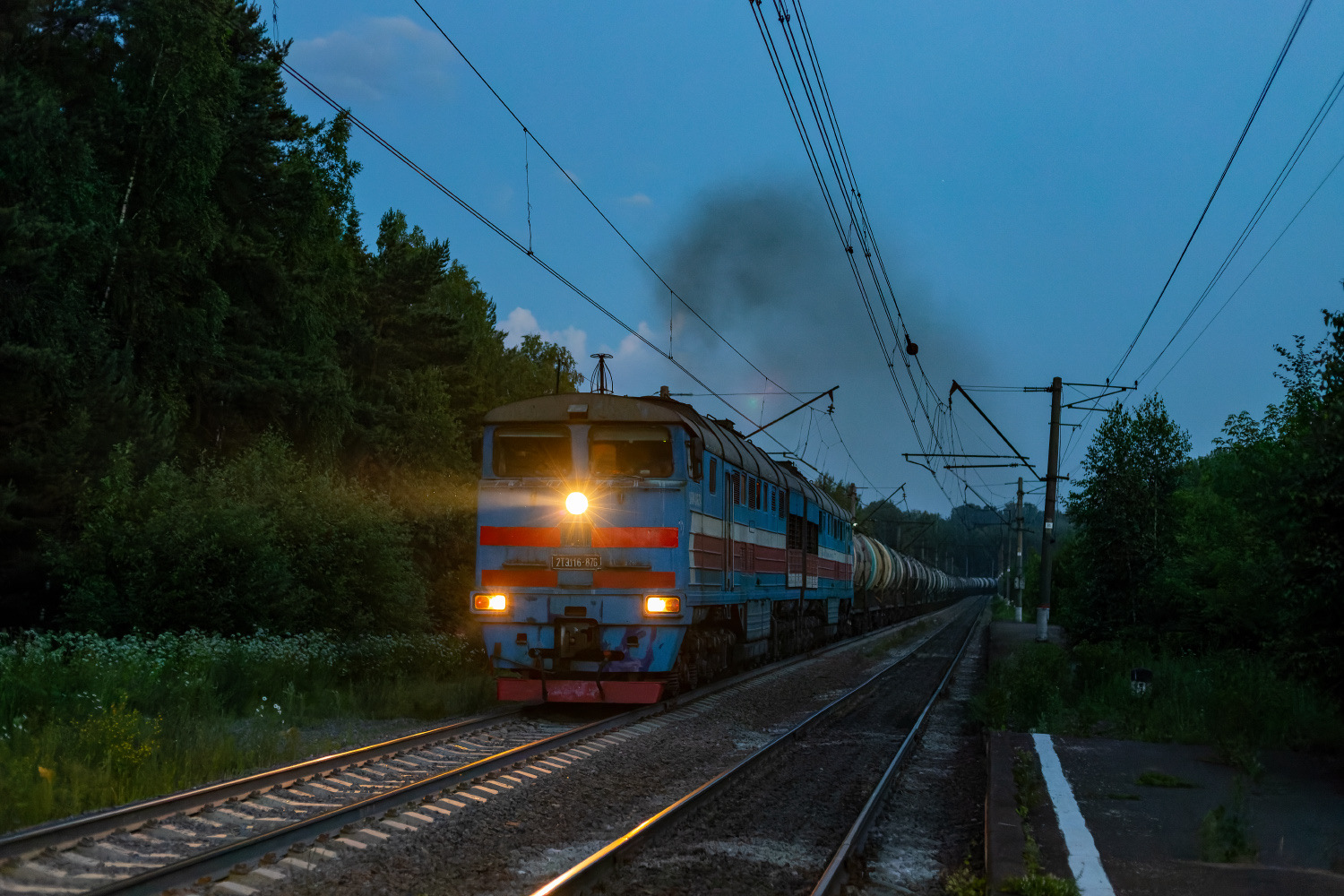 BTS 2TE116 876 / Stantsiya Lukino — Trainspo