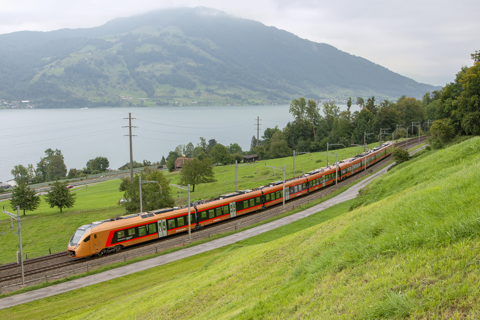 SOB RABe 526 Traverso 204 / Immensee — Trainspo