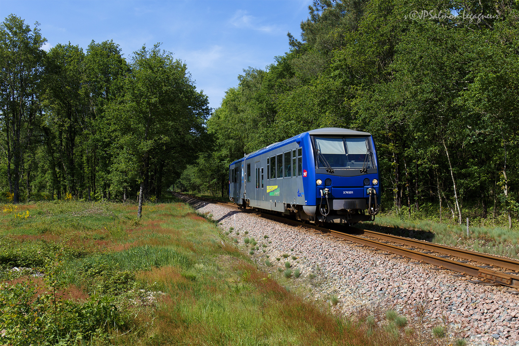 train tours gievres